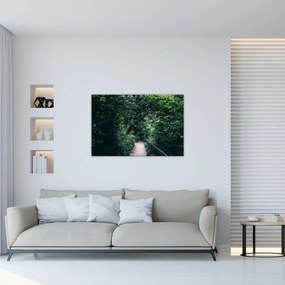 Obraz - Cesta lesom (90x60 cm)