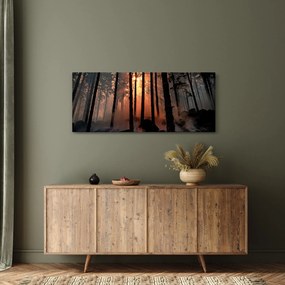 Obraz temného lesa (120x50 cm)