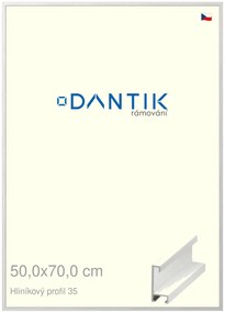 DANTIK rám na obraz 50x70 | ALU Dýha bílá (Plexi Čiré)