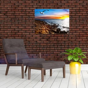 Sklenený obraz - Čajka letiaca nad pobrežím (70x50 cm)