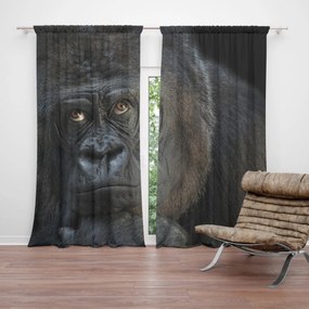 Sablio Záves Gorila: 2 ks 140x250 cm