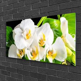 Skleneny obraz Orchidea kvety príroda 120x60 cm
