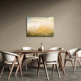 Obraz - Pole na jeseň (70x50 cm)