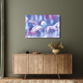Obraz - Motýle v zime (90x60 cm)