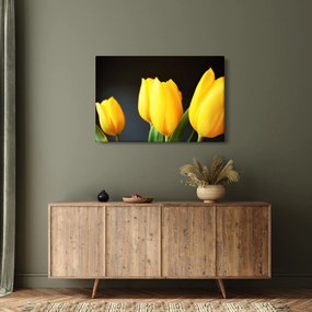 Obraz tulipánov (90x60 cm)