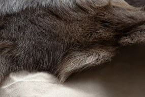 Koberec RENIFER POK018 hnedý / sivý