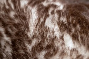 Koberec LAPIN Shaggy slonia kosť/čokoláda protišmykový