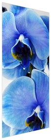Fototapeta na dvere - Modrý kvet (95x205cm)