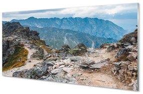 Nástenný panel  hory 100x50 cm