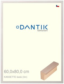 DANTIK rám na obraz 60x80 | KASSETTE šedá (Plexi Čiré)