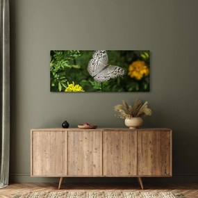 Obraz - biely motýľ (120x50 cm)