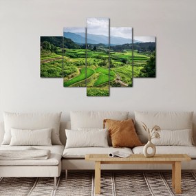 Obraz ryžových polí (150x105 cm)