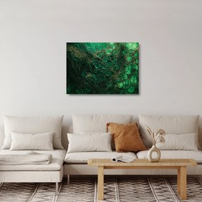 Sklenený obraz - Zelený mikroskopický záber (70x50 cm)