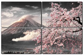 Obraz na plátne - Hora Fuji a čerešňové kvety na jar 1266QE (120x80 cm)