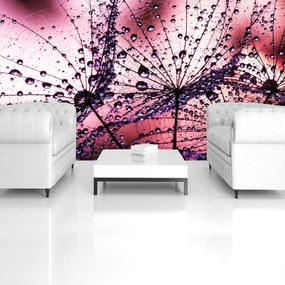 Fototapeta - Púpavy - abstraktné - fialové (152,5x104 cm)