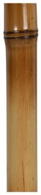 Bambusový vešiak v prírodnej farbe 36x162 cm Manali – Ixia