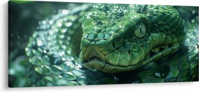 Obraz - Portrét hada (120x50 cm)