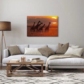 Obraz - Žirafy v africkej savane (90x60 cm)