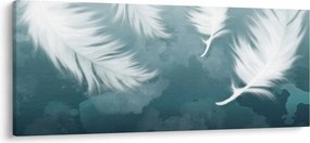 Obraz - Biela pierka (120x50 cm)