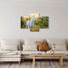 Obraz bieleho koňa na lúke (90x60 cm)