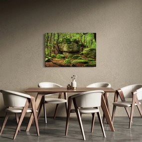 Obraz čarovného lesa (90x60 cm)