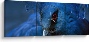 Obraz - Holub korunovaný (s hodinami) (90x30 cm)