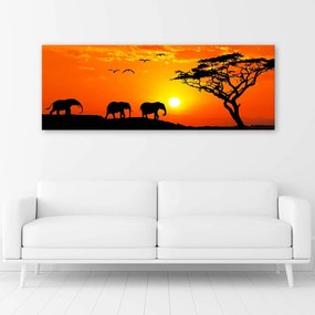 Gario Obraz na plátne Panoráma africkej savany Rozmery: 90 x 30 cm