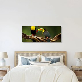 Obraz sediacich tukanov, Costa Rica (120x50 cm)