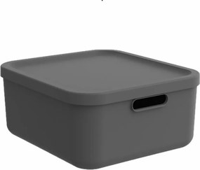 Rotho 2. akosť - Úložný box, rovný s vekom, 20l, antracit ALBU LIGHT, 40x36x18