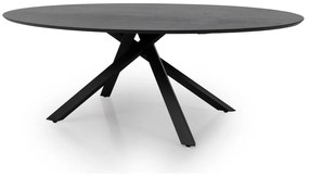 Jedálenský stôl v dekore jaseňa 240x120 cm Cox - Tenzo