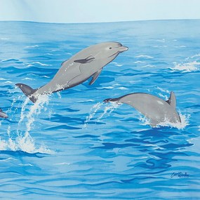 Sprchový záves 120x200 cm Nemo – Spirella