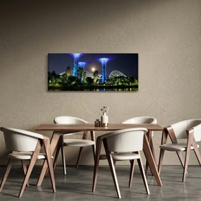 Obraz splnu v Singapurských záhradách (120x50 cm)