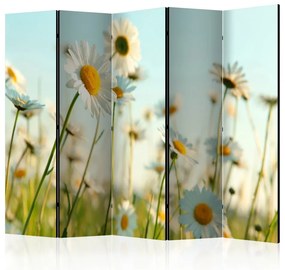 Artgeist Paraván - Daisies - spring meadow [Room Dividers]