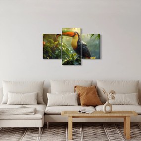 Obraz - Tukan (90x60 cm)