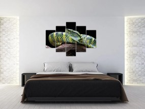 Obraz - Štrkáč Waglerov (150x105 cm)