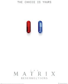 Plagát, Obraz - The Matrix: Resurrections - The Choice is Yours, (61 x 91.5 cm)