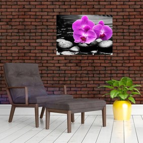Sklenený obraz - Fialové orchidey (70x50 cm)