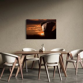 Obraz slona (90x60 cm)