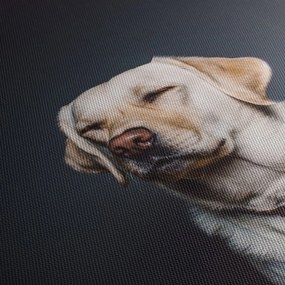 Obraz labradora (120x50 cm)