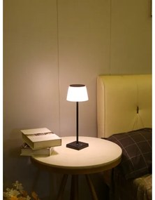 Immax 08492L - LED Stmievateľná vonkajšia solárna lampa LED/4W/5V IP44