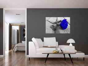Obraz - Modrá ruža (90x60 cm)