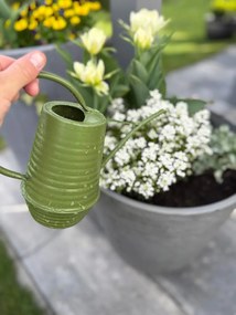 Kanva na polievanie Eli, 1 l, zelená