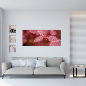 Obraz - Makro snímka lístka (120x50 cm)
