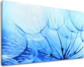 Obraz na stenu KVETY KV057E11 - 30x40 cm