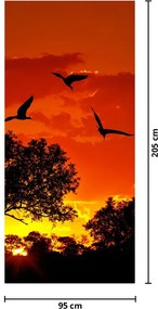 Fototapeta na dvere - Vtáky pri západe slnka (95x205cm)