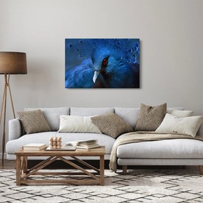 Obraz - Holub korunovaný (90x60 cm)