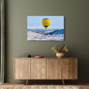 Obraz - Let nad zimnou krajinou (90x60 cm)
