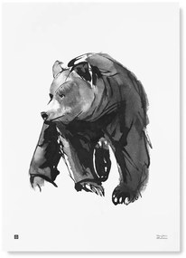 Plagát Gentle Bear 50x70