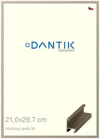 DANTIK rám na obraz 21x29,7 | ALU champagne (Sklo Čiré)
