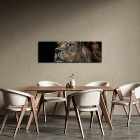 Obraz - Majestátny lev (s hodinami) (90x30 cm)